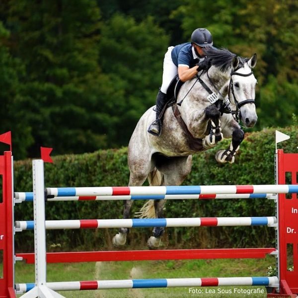 André Uphoff, Inhaber des Reitstall Teuterhofs, reitet bei einer Springprüfung. Er springt gerade mit seinem Pferd über ein hohes Hindernis